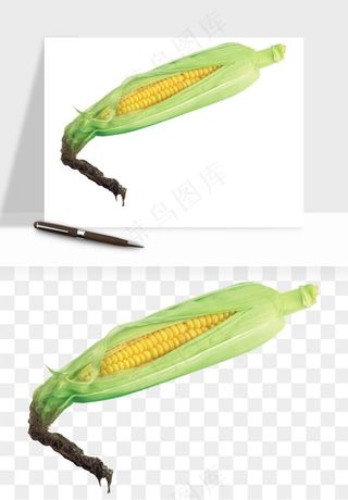 玉米带叶玉米png免抠