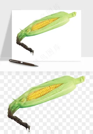玉米带叶玉米png免抠