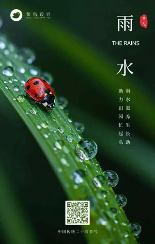 雨水手机海报