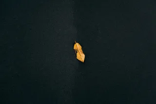 免费 黑色表面上的棕叶 素材图片