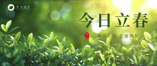 立春公众号首图