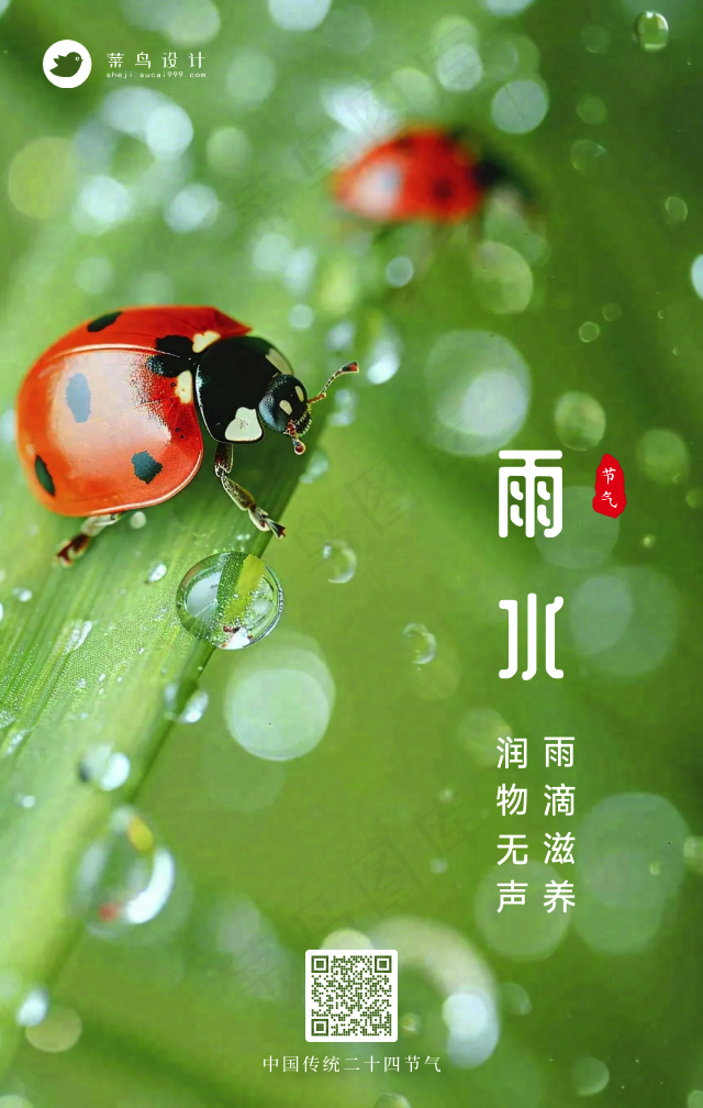 雨水手机海报