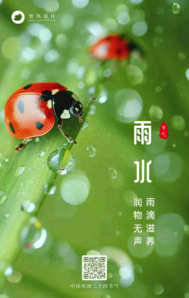 雨水手机海报