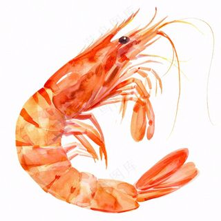虾基围虾食物海洋卡通插画免抠
