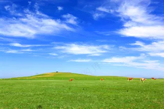 草原牧场风景图片白云