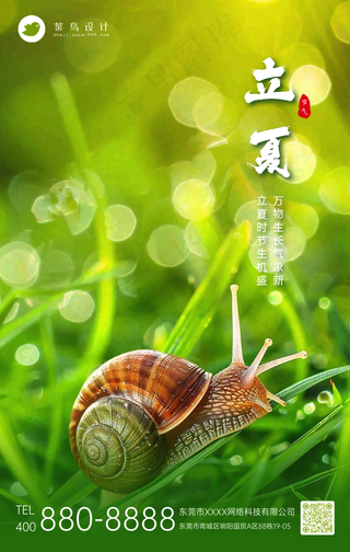 立夏手机海报