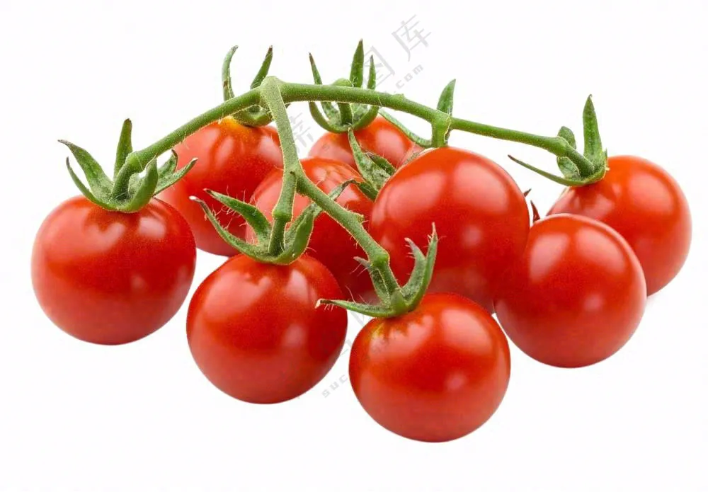 西红柿小番茄免抠