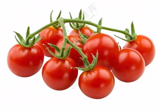 西红柿小番茄免抠