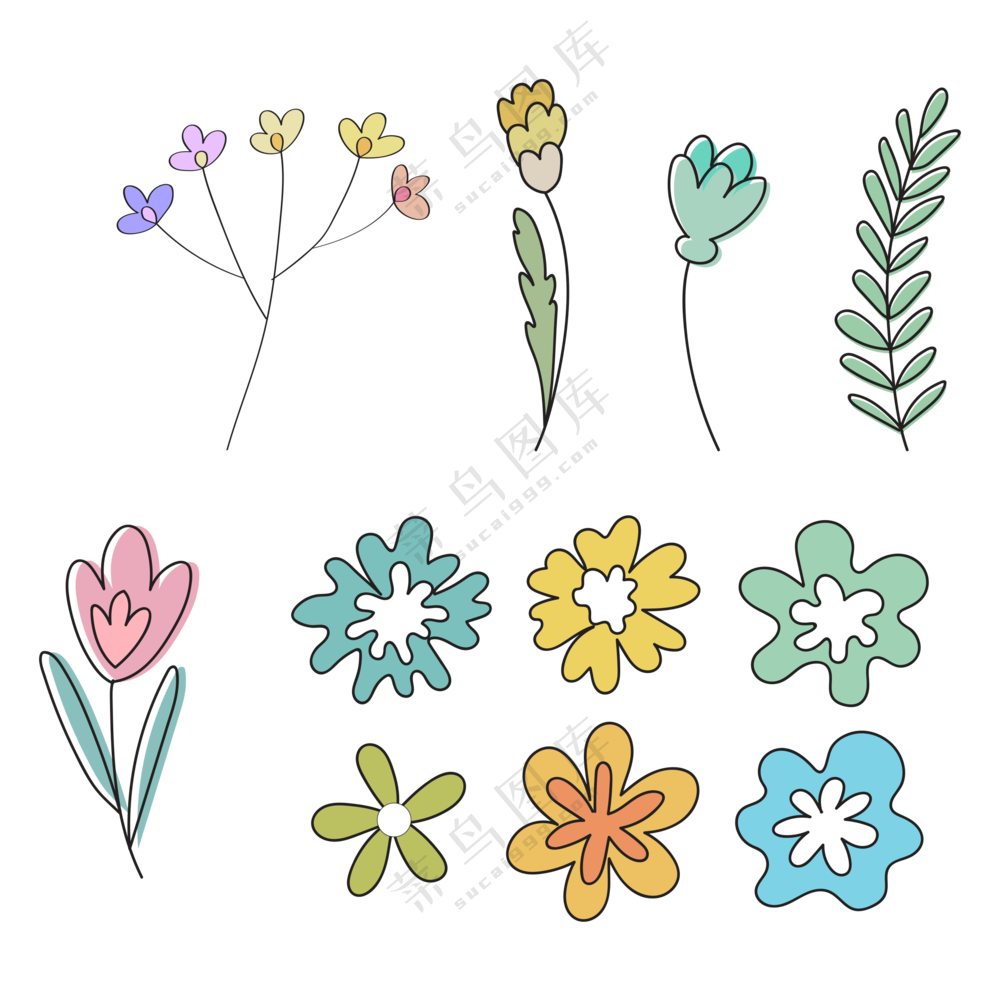 各种颜色种类的花朵 (2)