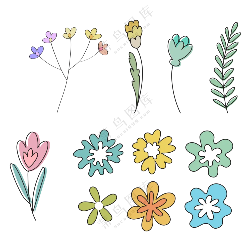 各种颜色种类的花朵 (2)