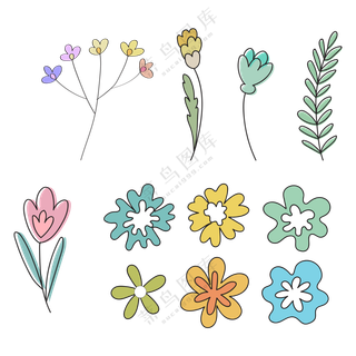 各种颜色种类的花朵 (2)