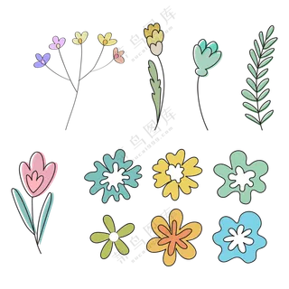 各种颜色种类的花朵 (2)