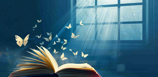 阅读书本翻开蝴蝶纷飞阳光透过窗户知识遨游世界读书日创意卡通插画背景