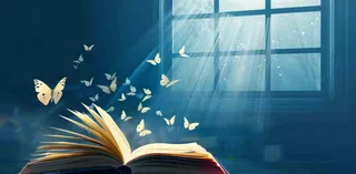 阅读书本翻开蝴蝶纷飞阳光透过窗户知识遨游世界读书日创意卡通插画背景