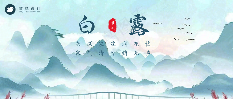 白露公众号首图