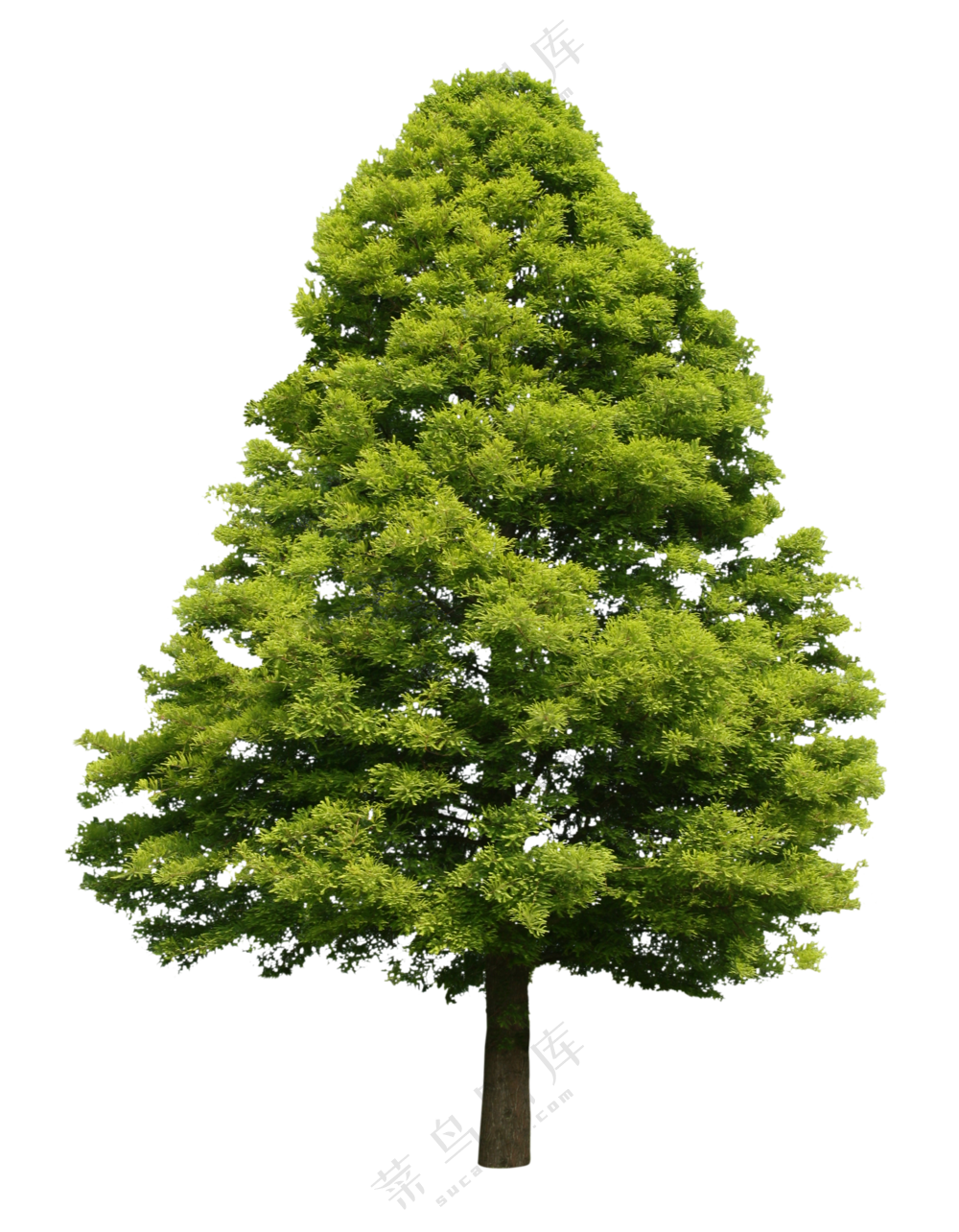 PNG免扣植物树木拼贴素材