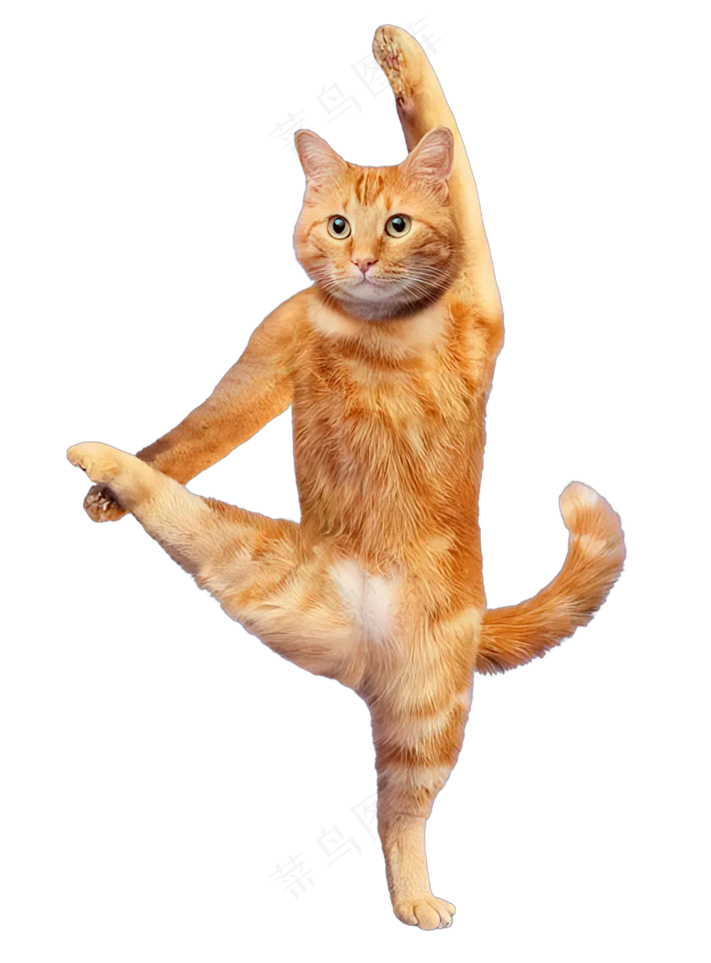 png免抠搞笑有趣动物