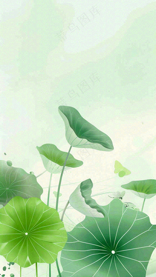夏天荷花荷叶清凉小清新淡雅立夏夏至暑插画背景