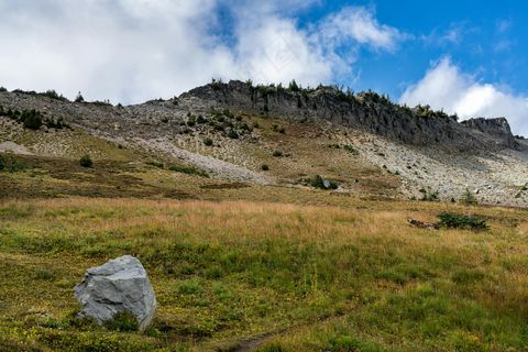草原上的宁静午后