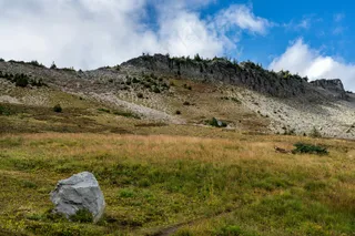 草原上的宁静午后