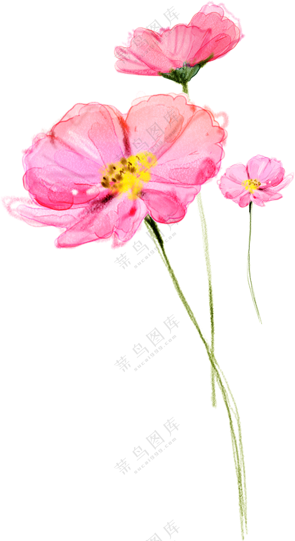 粉红色的花朵前景装饰免抠图片素材