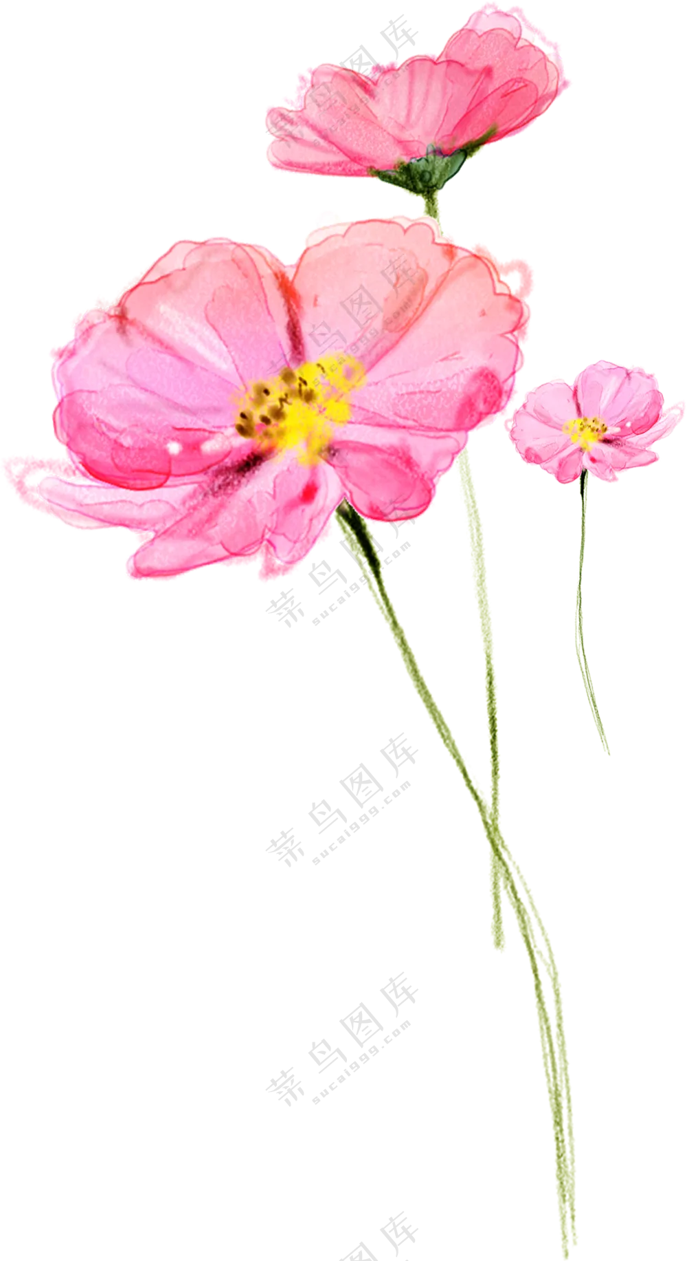 粉红色的花朵前景装饰免抠图片素材