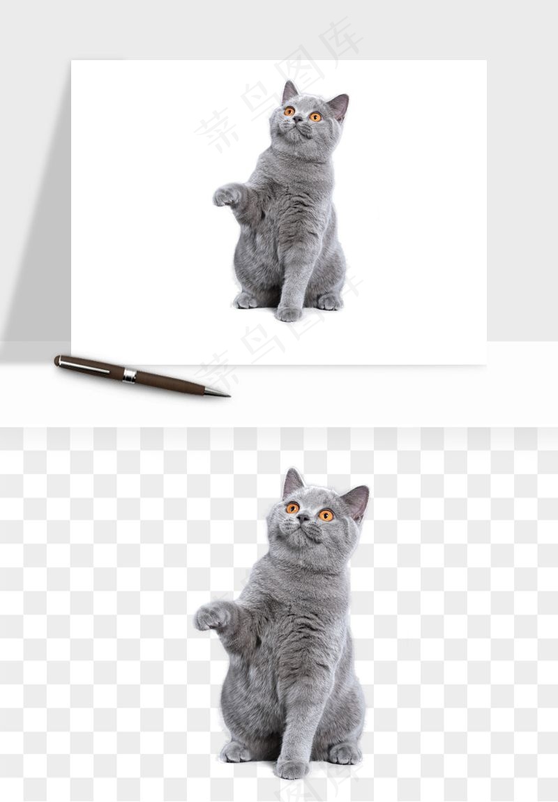 猫咪喵星人狗狗宠物元素png免抠