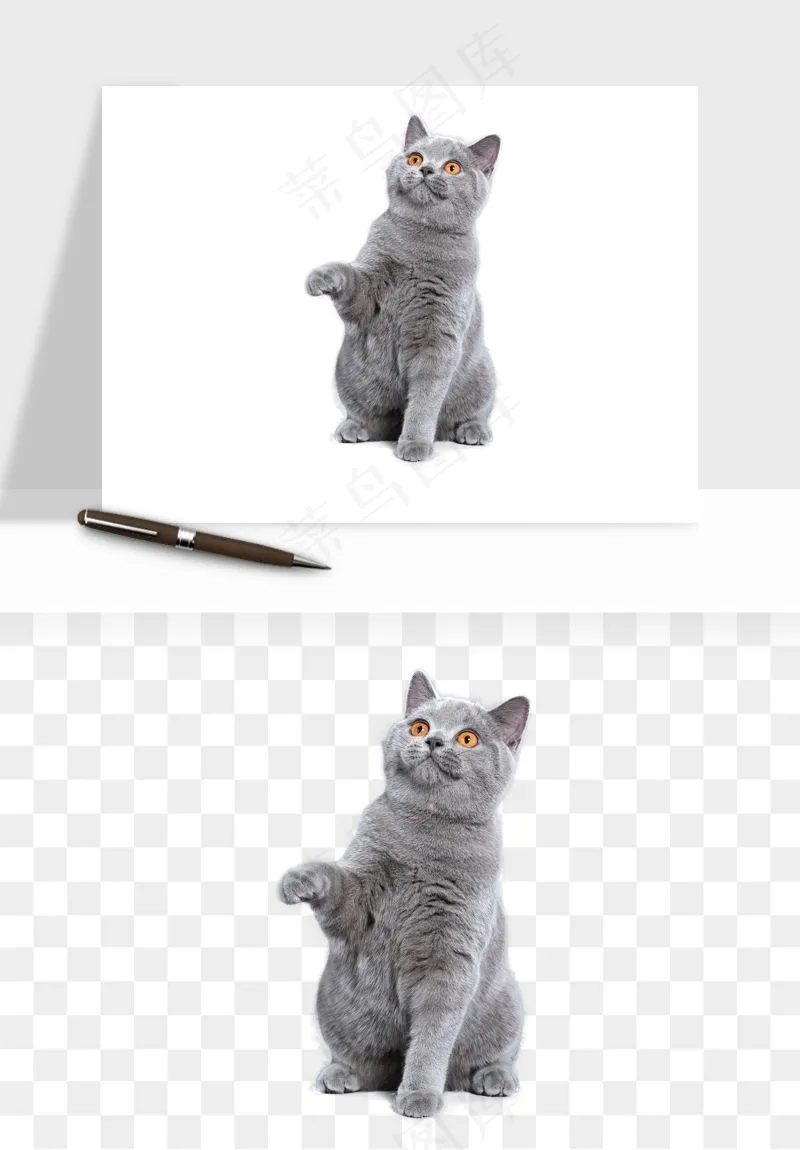 猫咪喵星人狗狗宠物元素png免抠