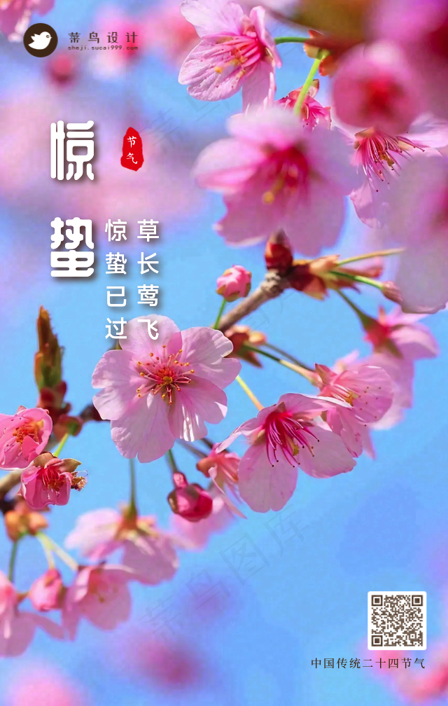 惊蛰手机海报