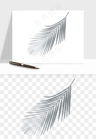 阴影植物窗户投影免抠元素