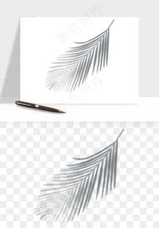 阴影植物窗户投影免抠元素