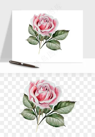 水彩复古花卉png免抠