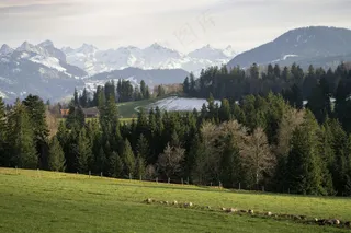 静谧山峦：自然和谐之春景