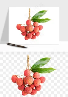 荔枝妃子笑水果png免抠