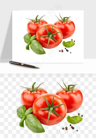 西红柿番茄圣女果png免抠