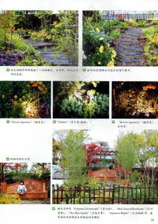 前花园改造庭院