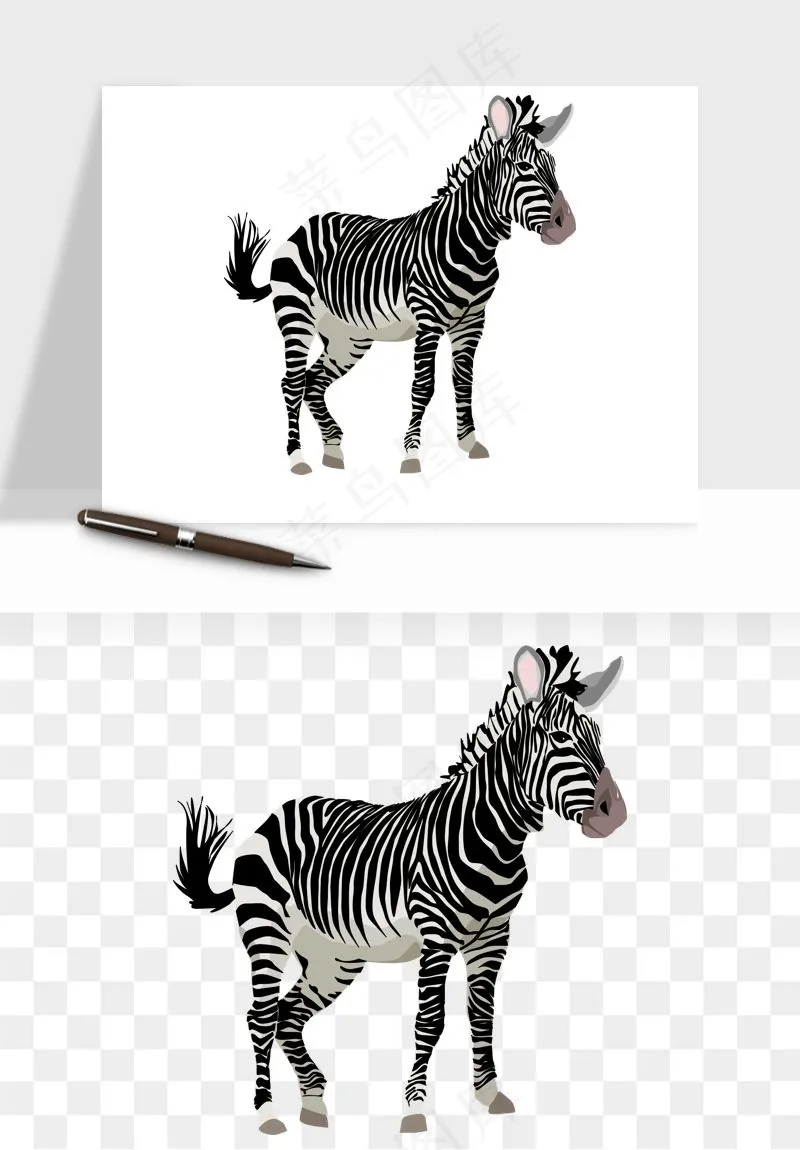 斑马动物png免抠