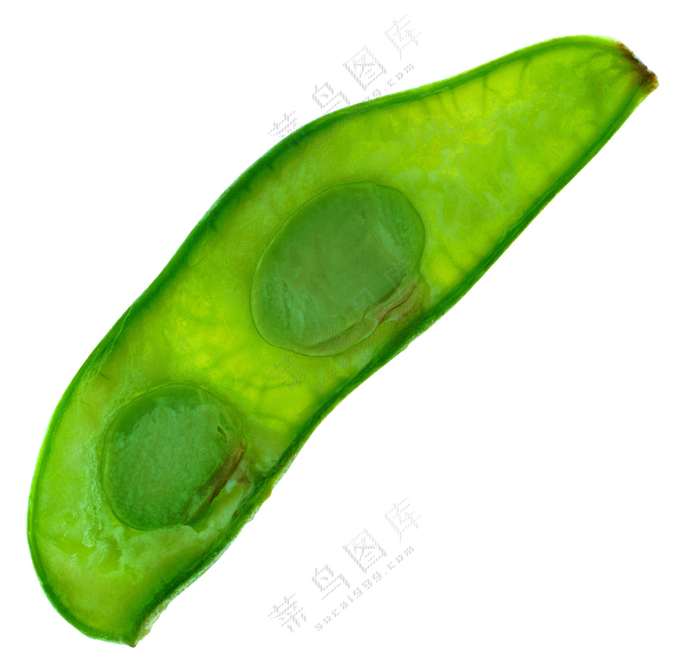 蔬菜切面图片 (27)