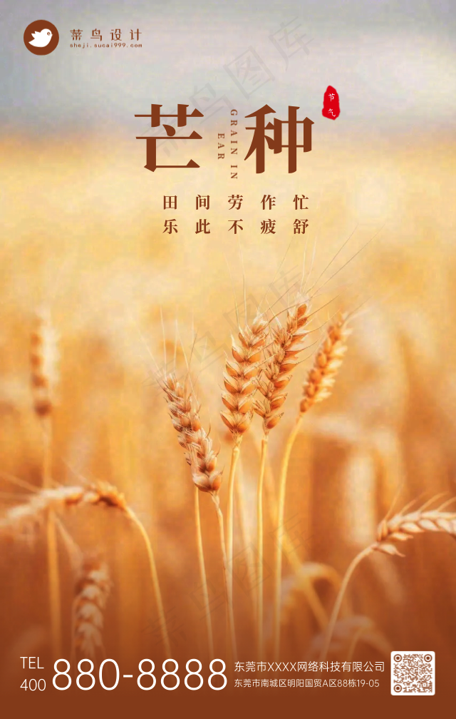 芒种手机海报