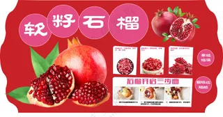 软籽石榴吊牌