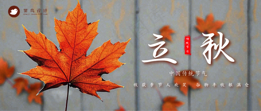 立秋公众号首图