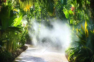 热带植物园绿植摄影图