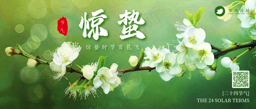 惊蛰公众号首图