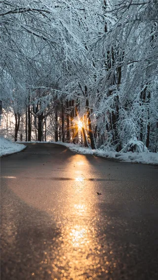 冬季树林溪流雾凇图片