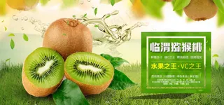 水果之王猕猴桃画面背景