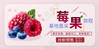 树莓莓果水果促销展板海报