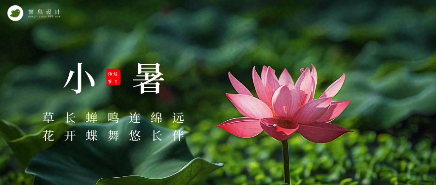 小暑公众号首图