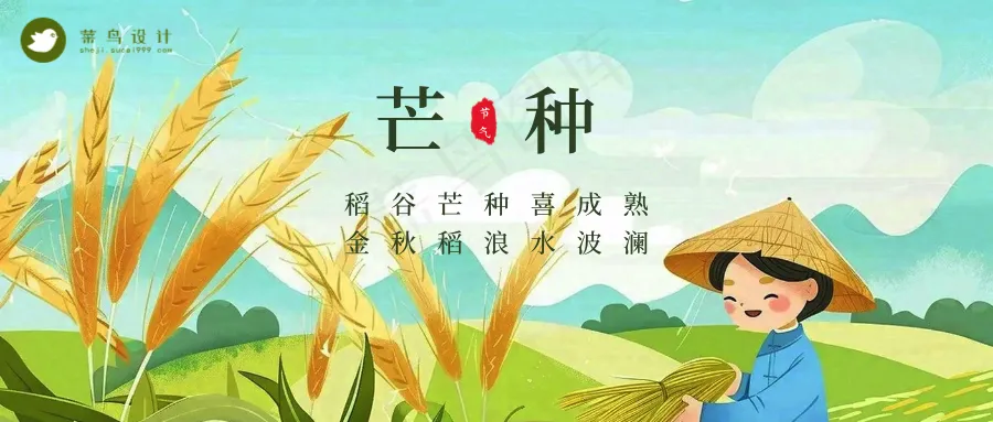 芒种公众号首图