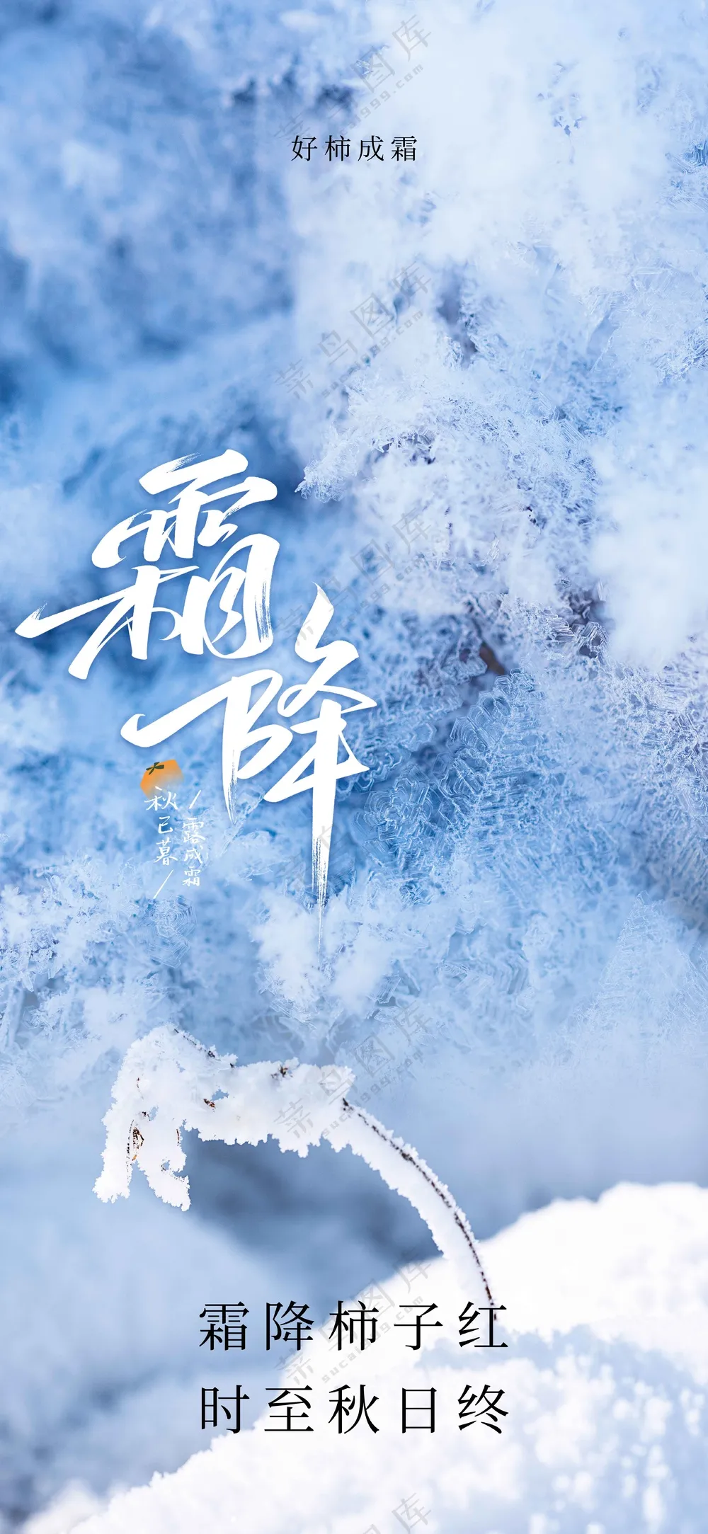 霜降节气传统活动海报