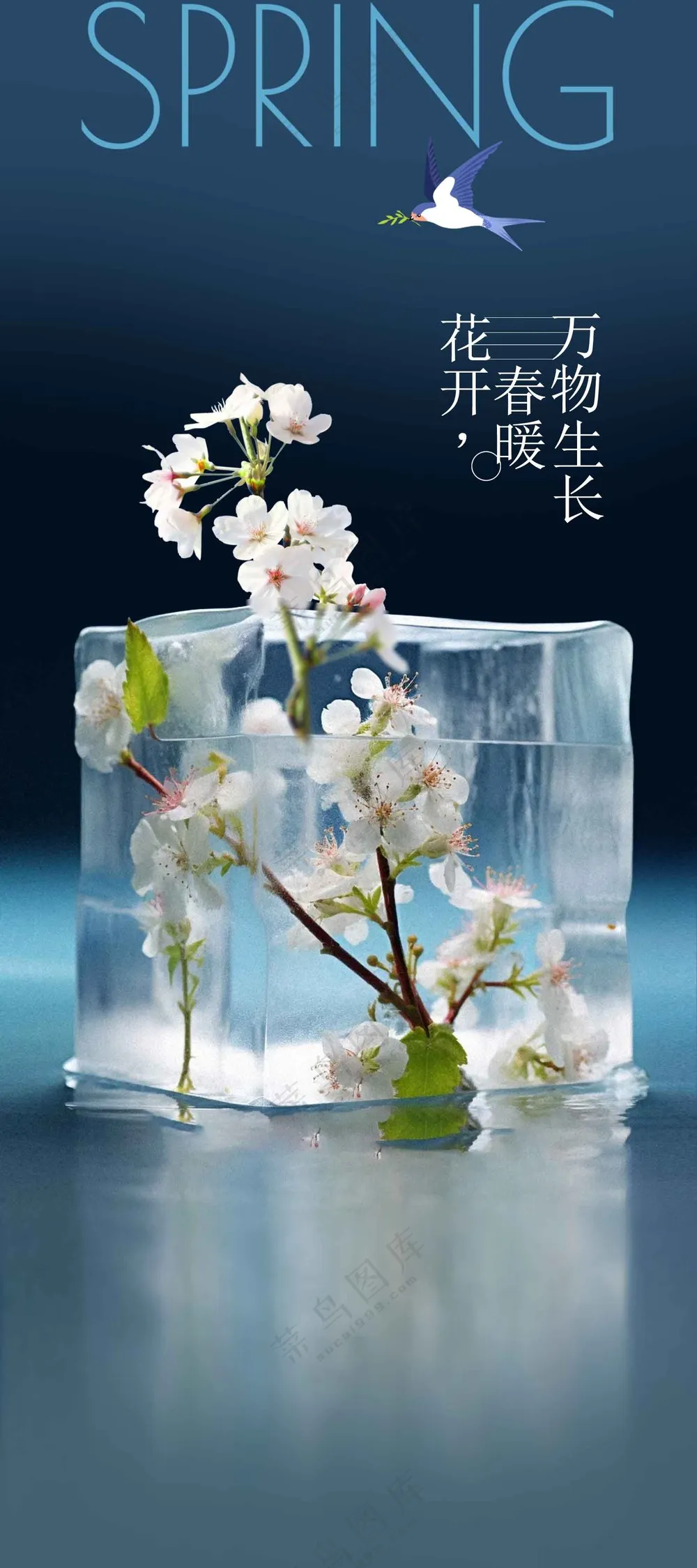 立春节气传统活动宣传海报